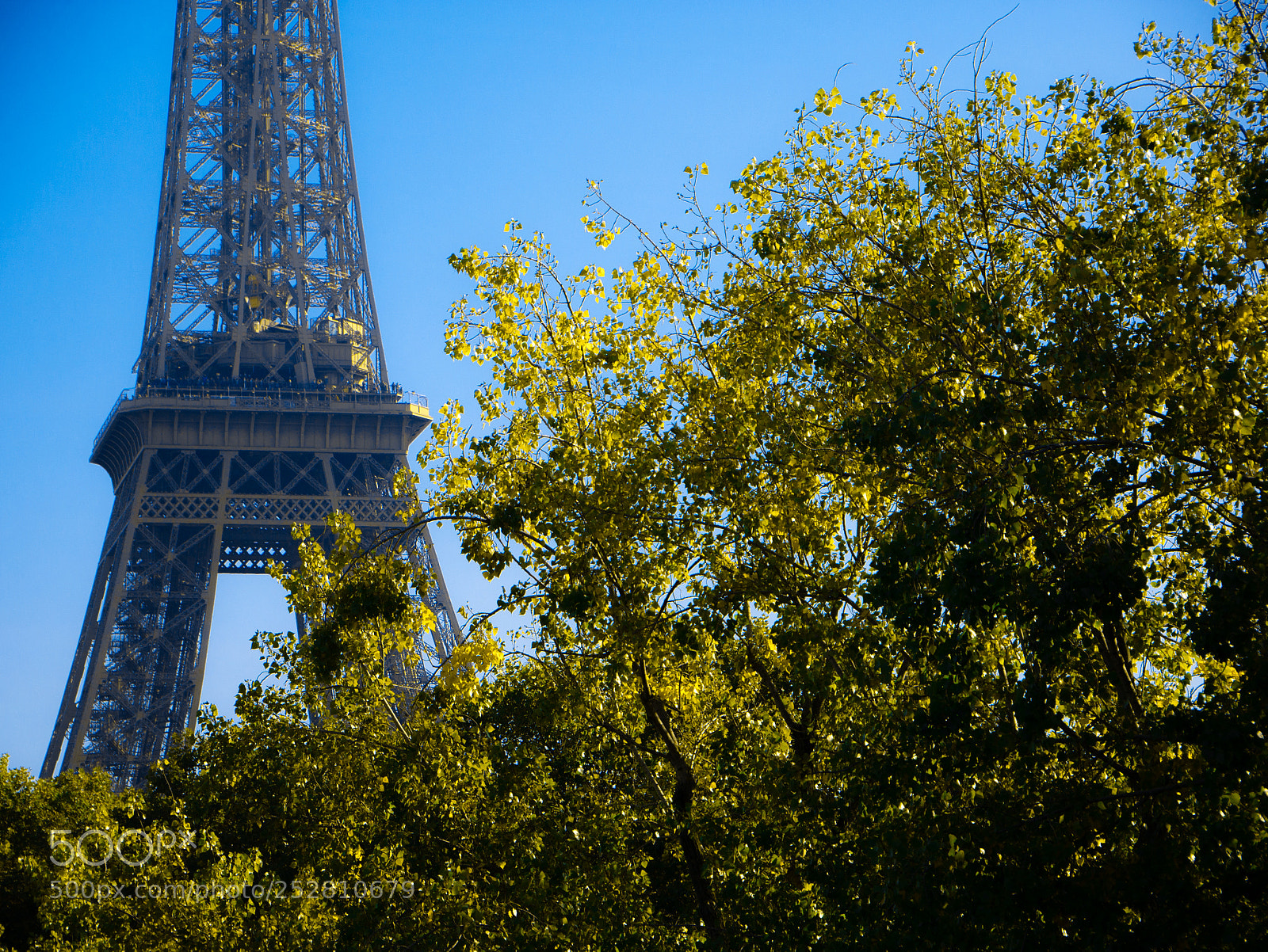 Panasonic DMC-G70 sample photo. Eiffel tower photography