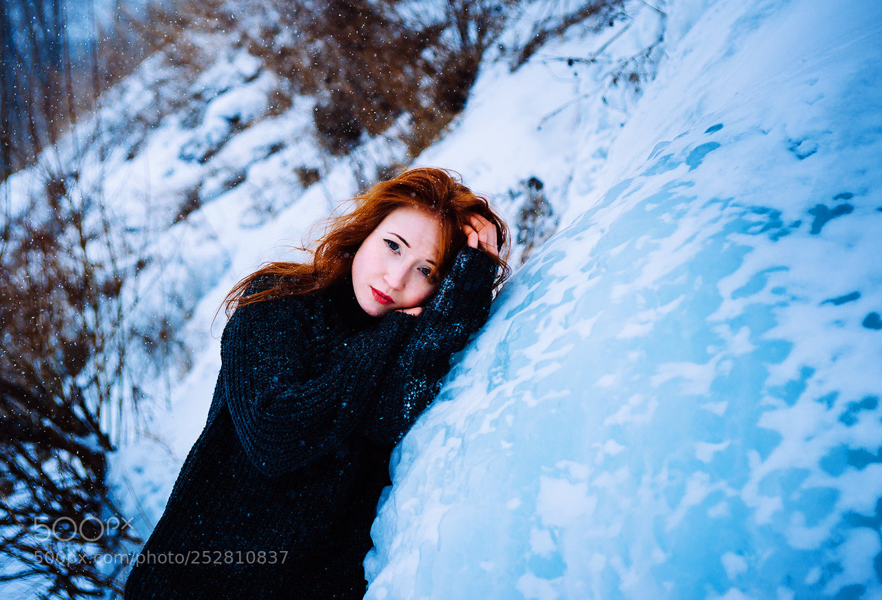 Sony Alpha DSLR-A850 sample photo. Frozen land (01) photography