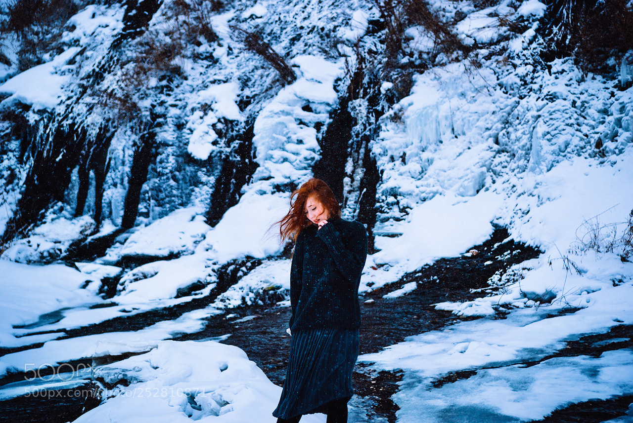 Sony Alpha DSLR-A850 sample photo. Frozen land (04) photography