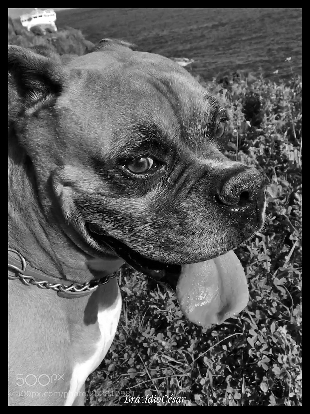 Apple iPhone 6s sample photo. Untitled photography