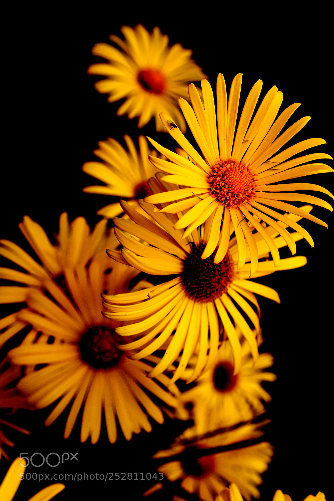 Sony a6000 sample photo. Untitled photography