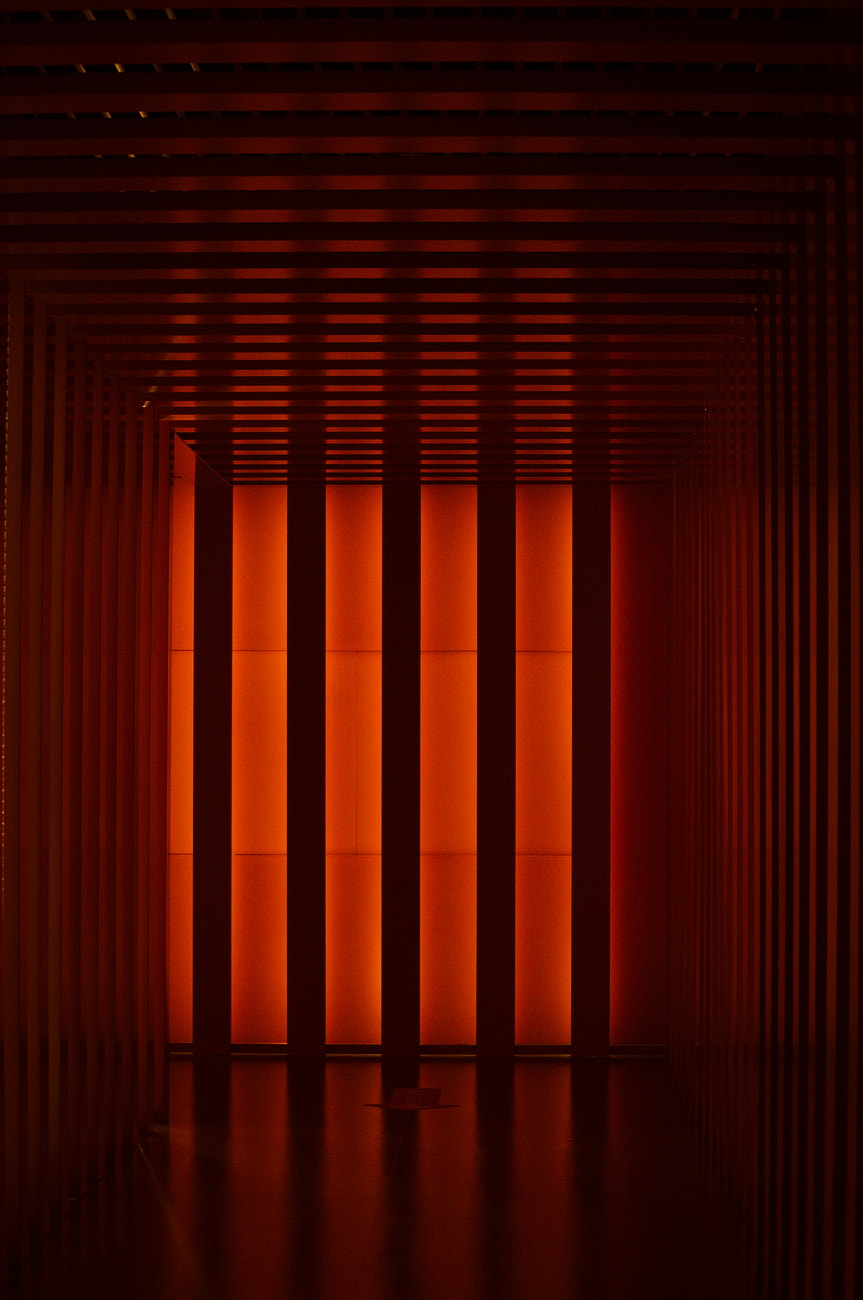 Nikon D3100 sample photo. Red background photography