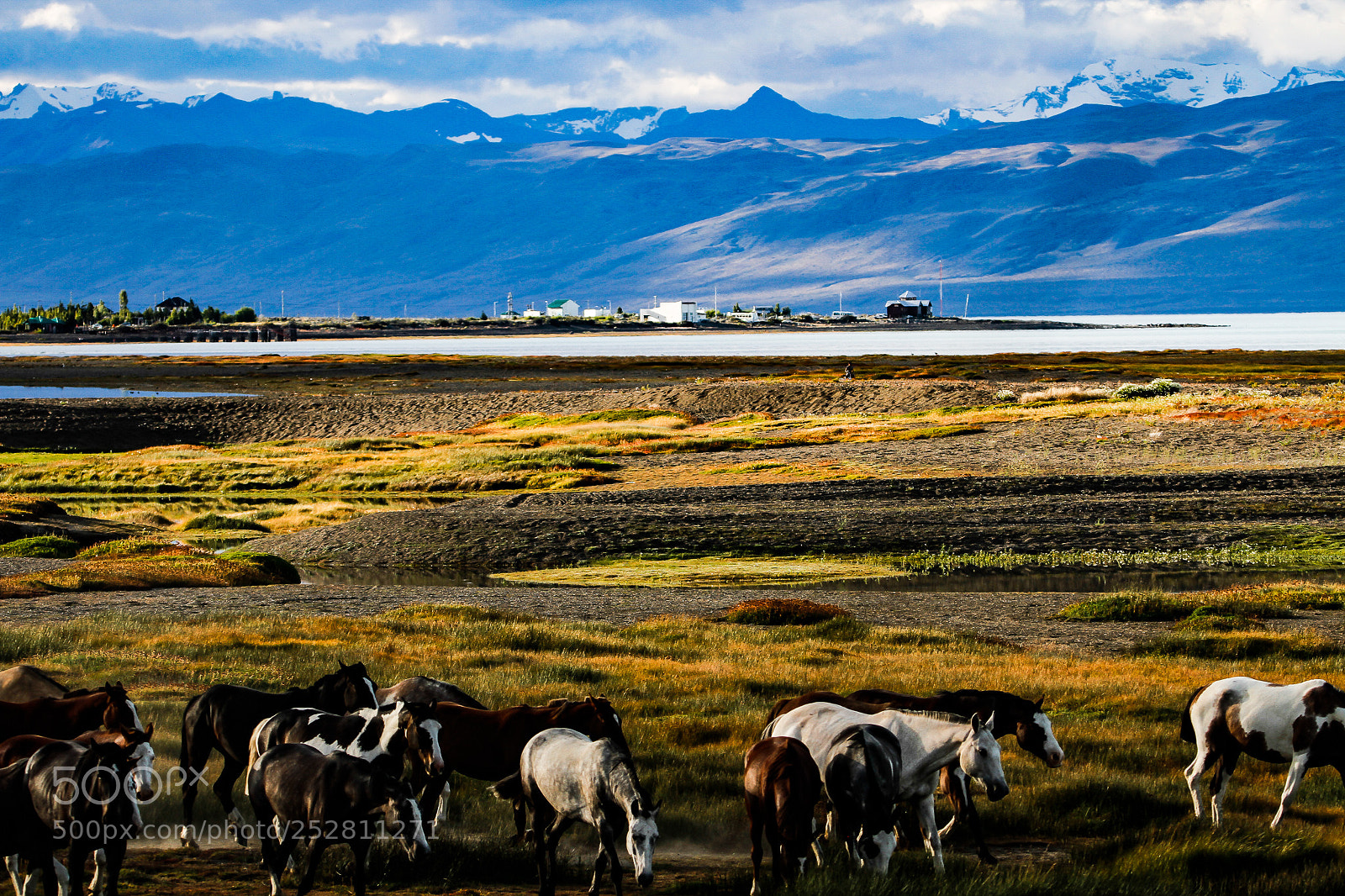 Canon EOS 7D sample photo. Taming wild horses photography