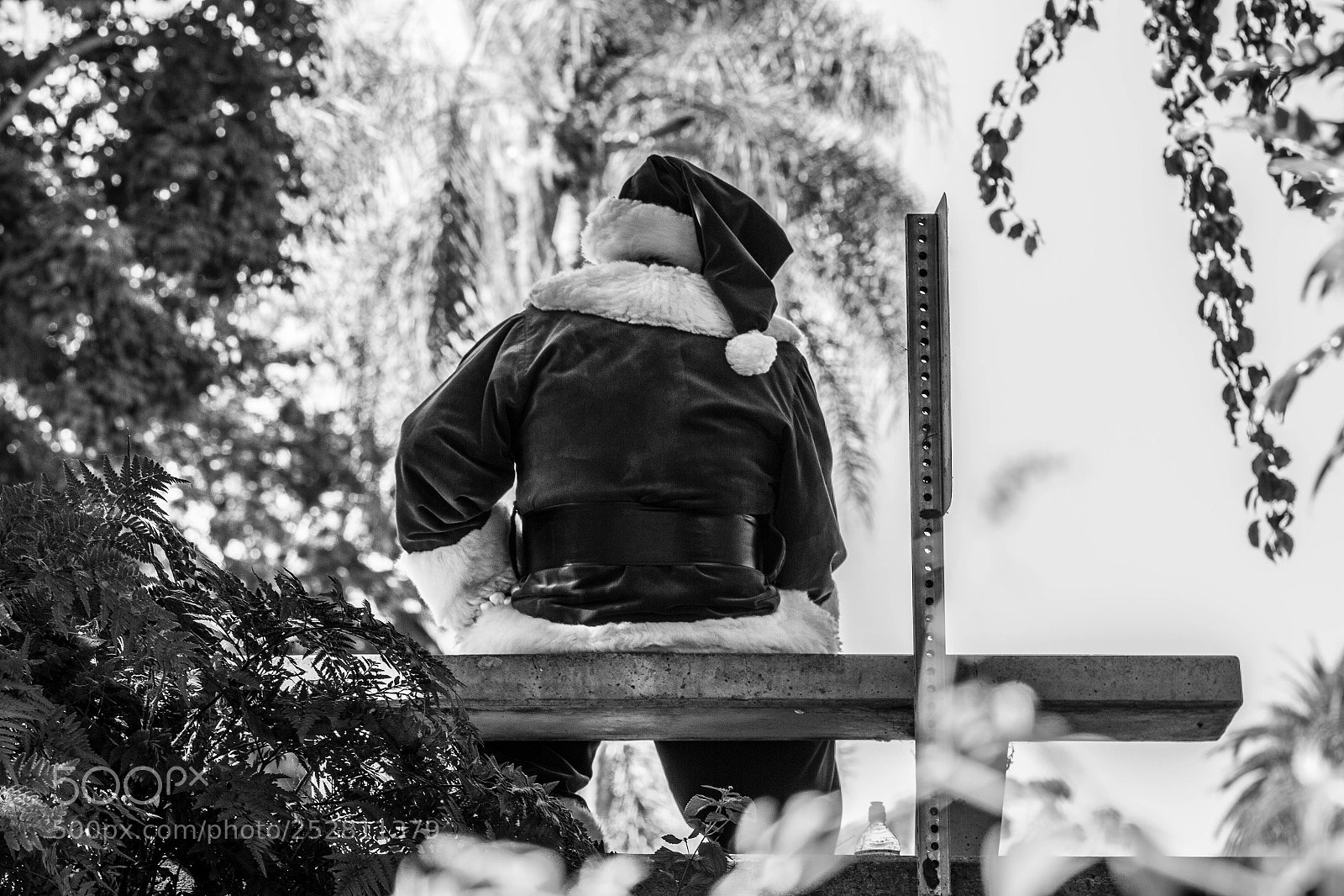 Canon EOS 7D sample photo. Waiting for christmass. photography