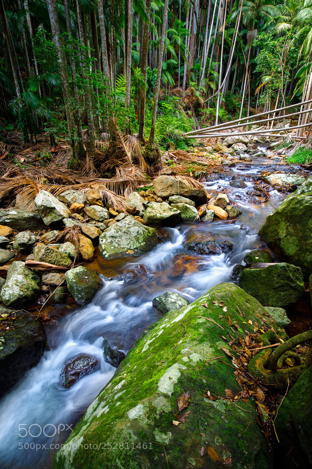 Canon EOS 5D Mark IV sample photo. Cedar creek photography