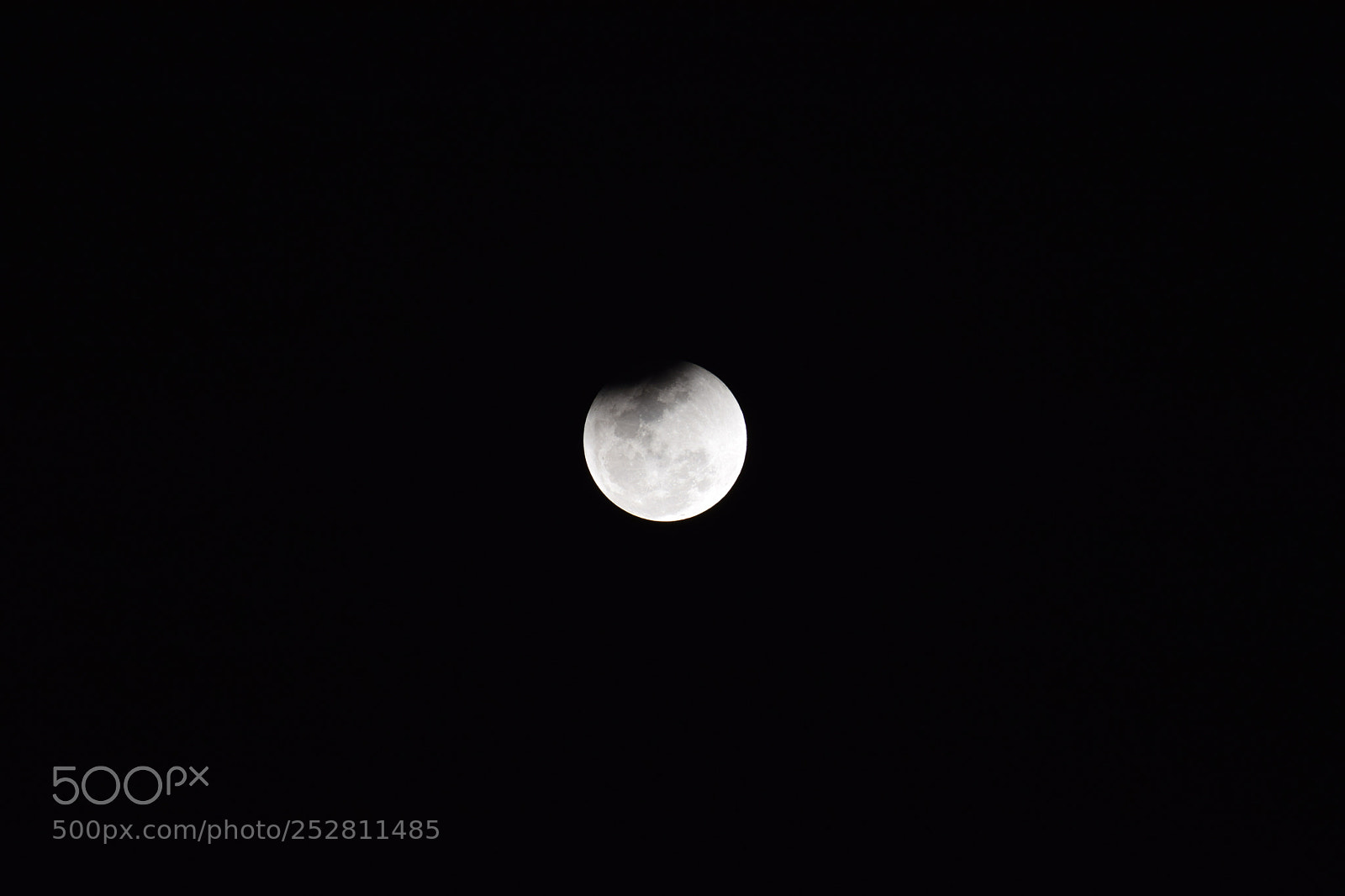 Nikon D5300 sample photo. Moon photography