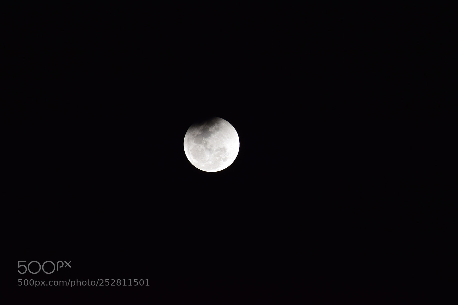 Nikon D5300 sample photo. Moon photography