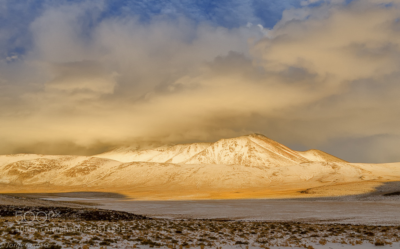 Nikon D700 sample photo. After the snow in photography