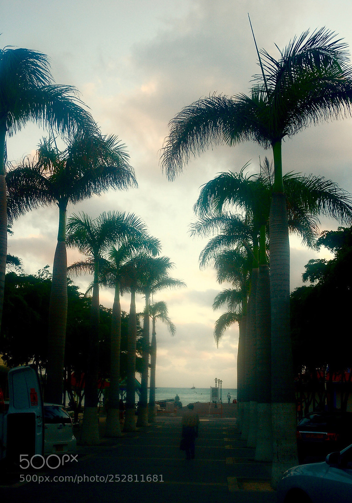 Nikon D50 sample photo. Untitled photography