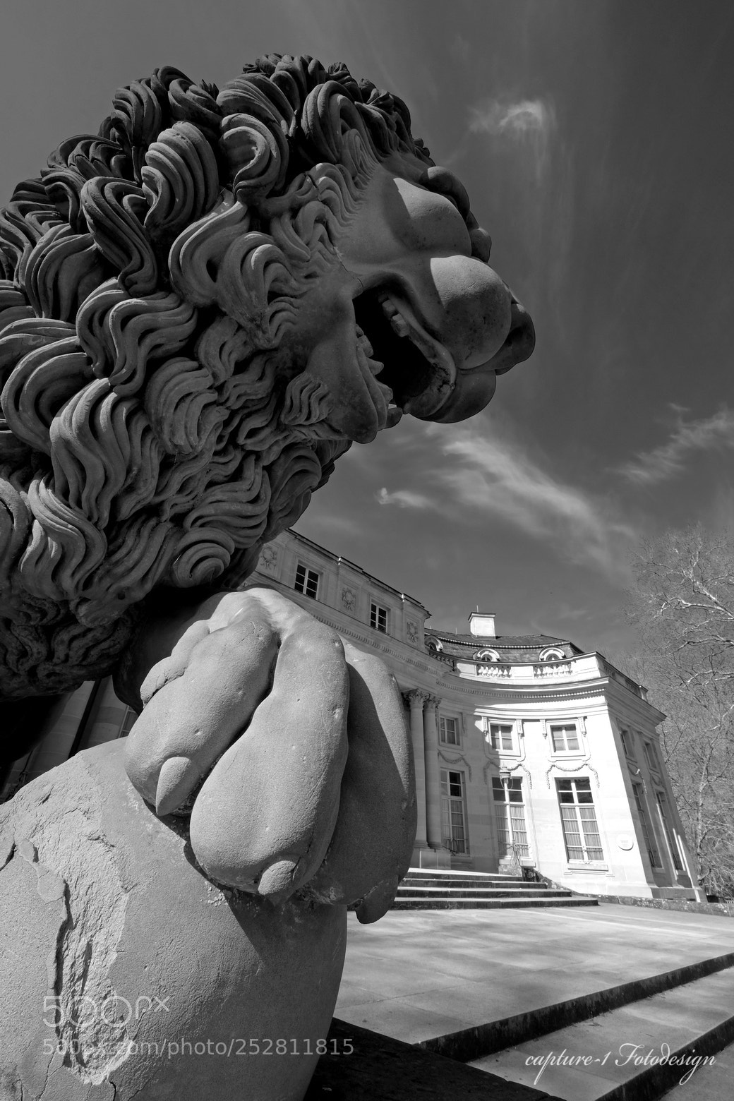 Fujifilm X-T2 sample photo. The lion guards the photography