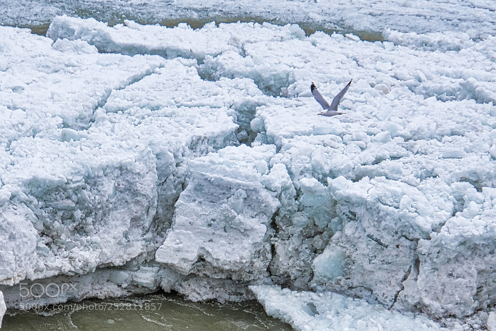 Nikon D7200 sample photo. Niagara river ice photography