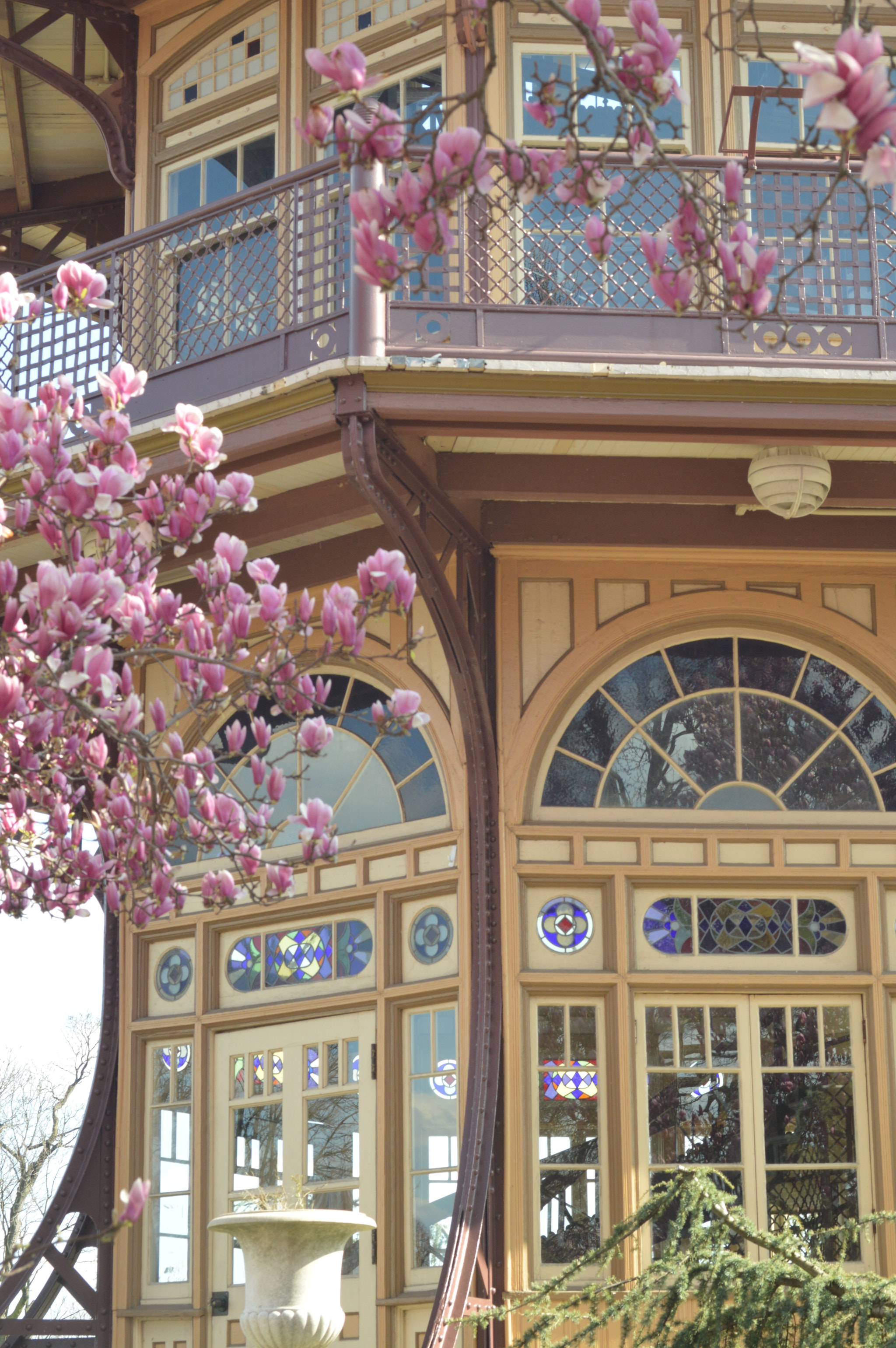 Nikon D3200 + Sigma 50mm F2.8 EX DG Macro sample photo. Patterson park cherry blossom photography