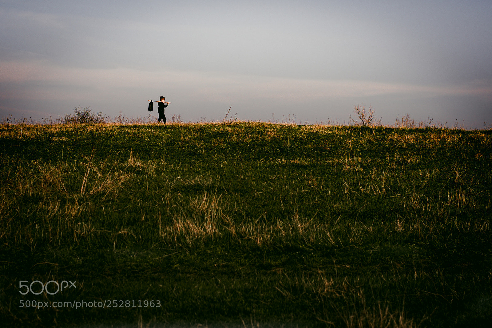Nikon D810 sample photo. Freedom photography