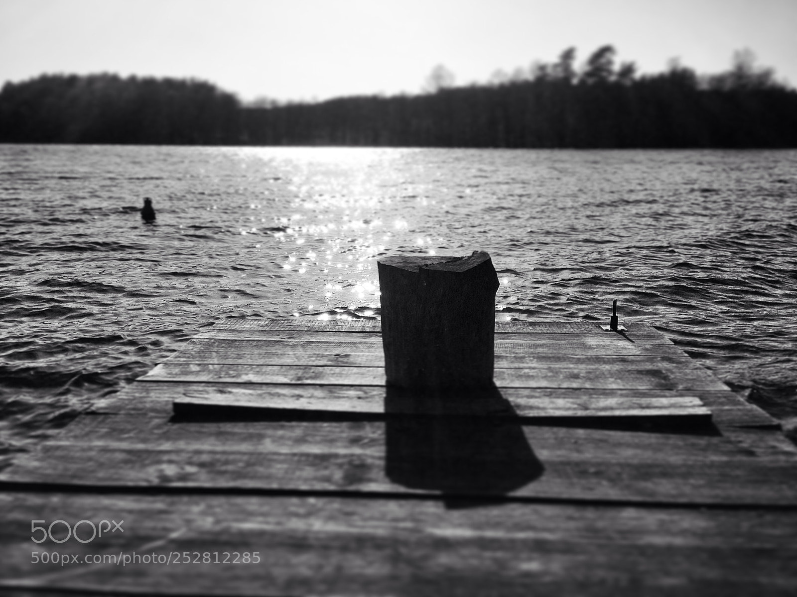 Apple iPhone 5 sample photo. Untitled photography