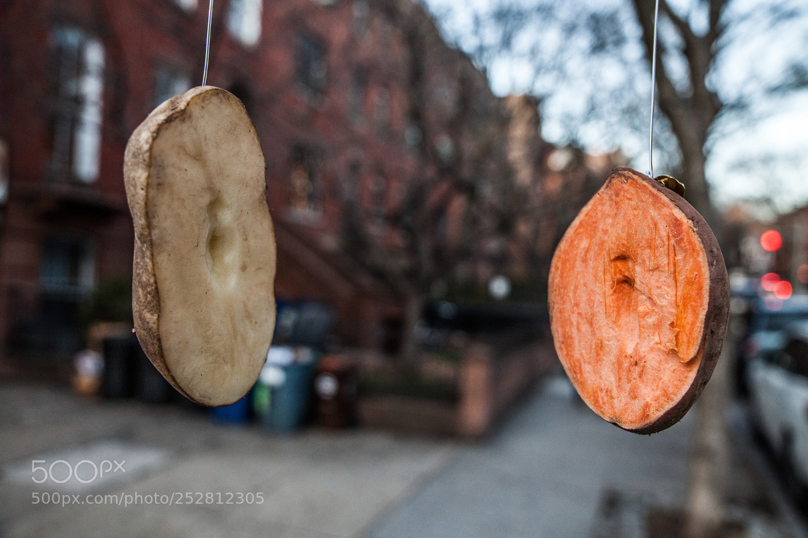 Canon EOS 5D Mark II sample photo. Potato potato photography