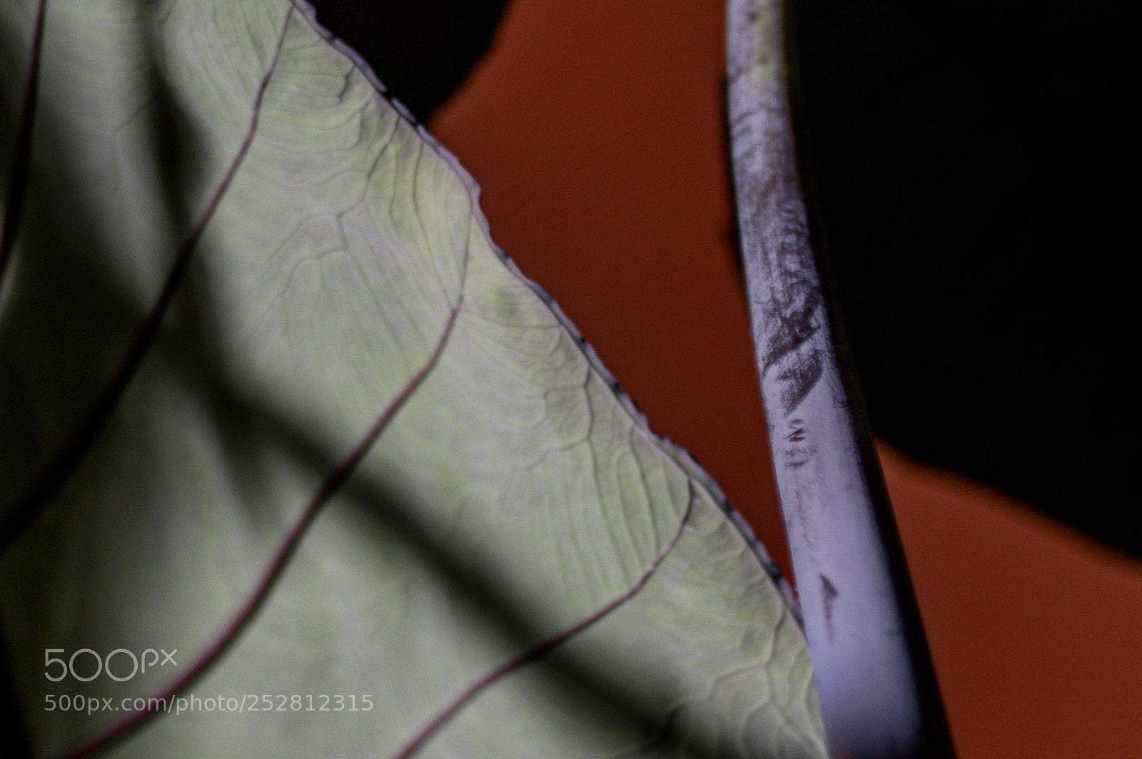Canon EOS 80D sample photo. Untitled photography