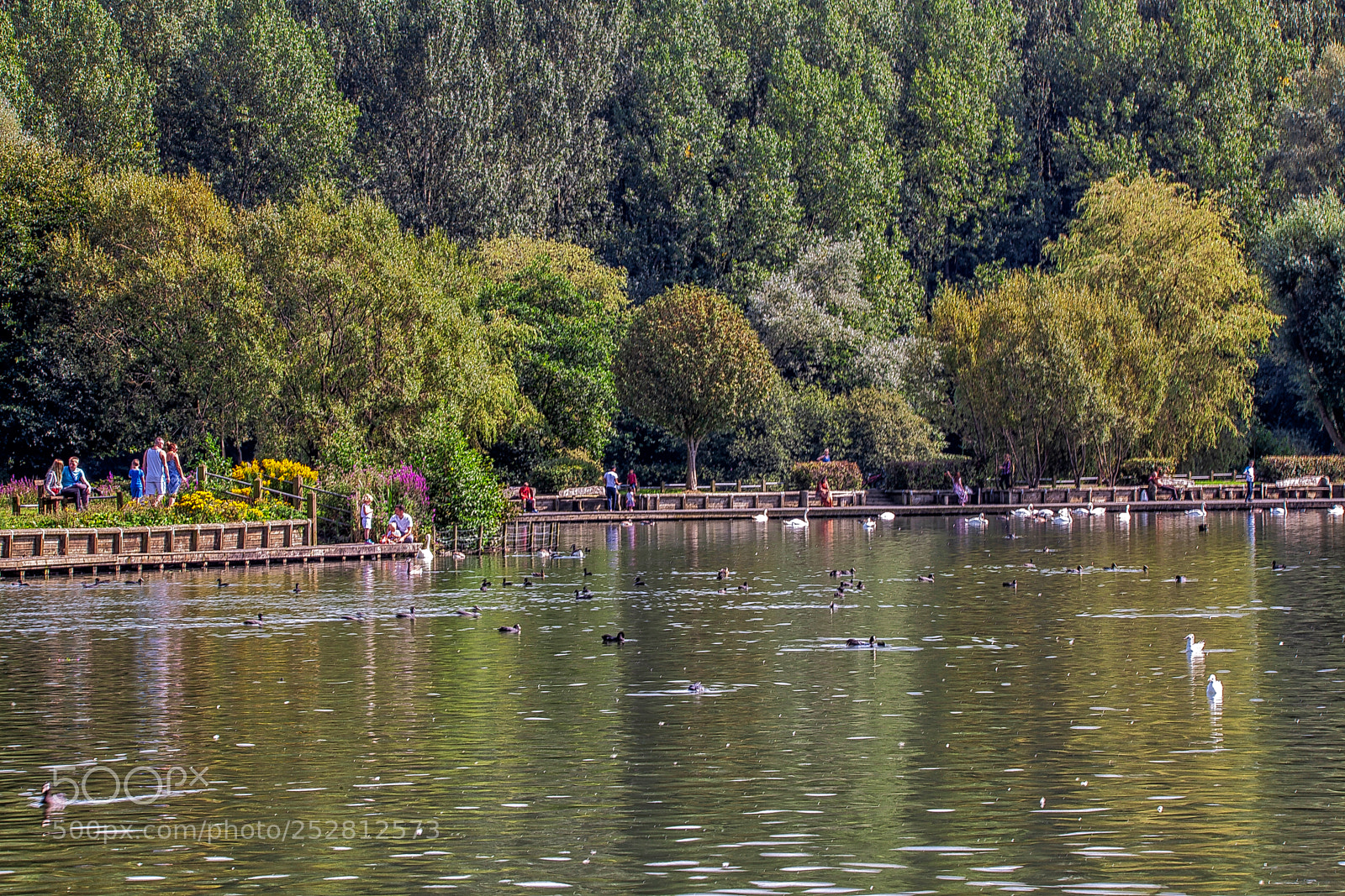Canon EOS 5D Mark II sample photo. Visitor's paradise photography