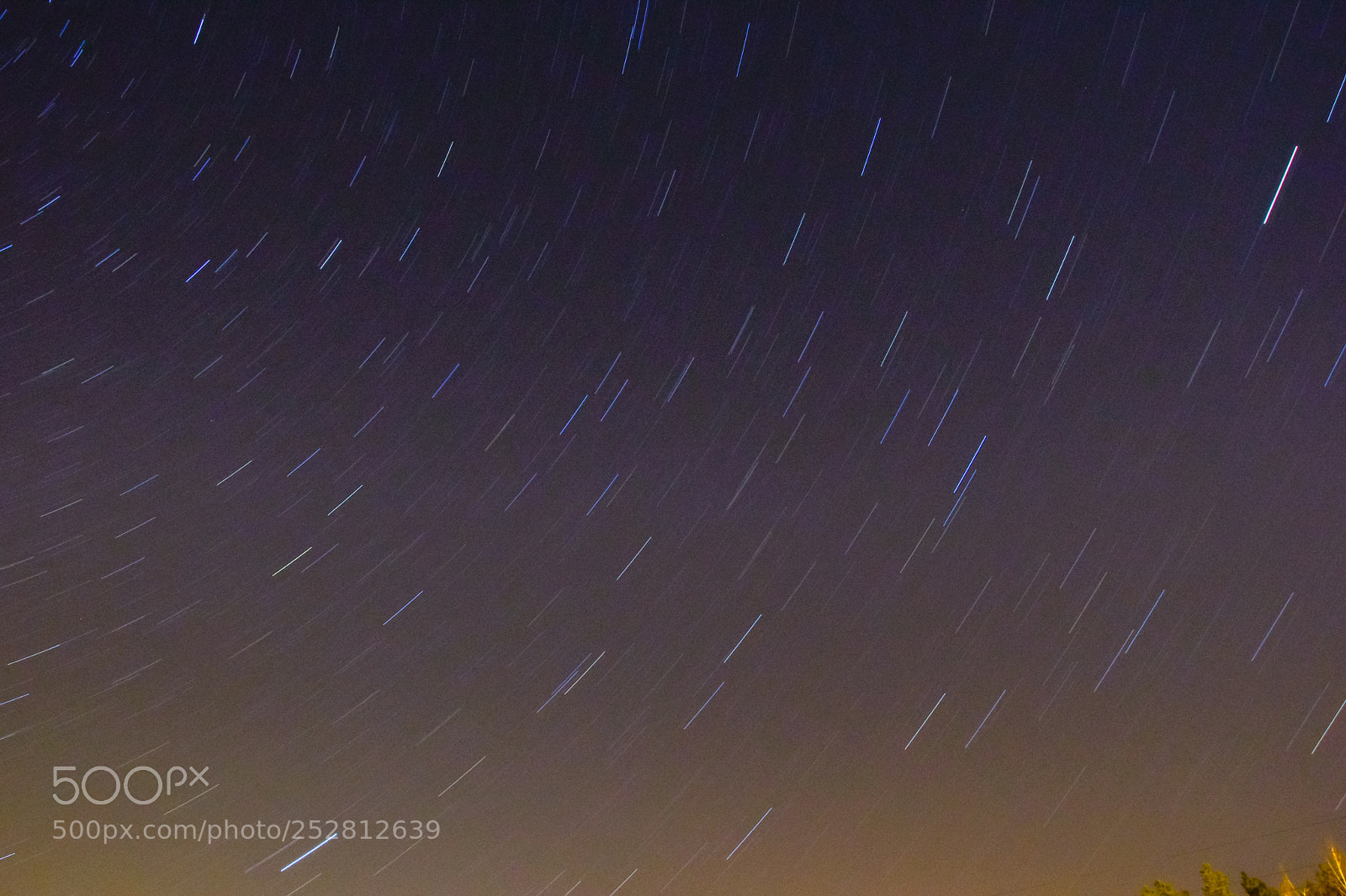 Nikon D5500 sample photo. Stars 1 photography