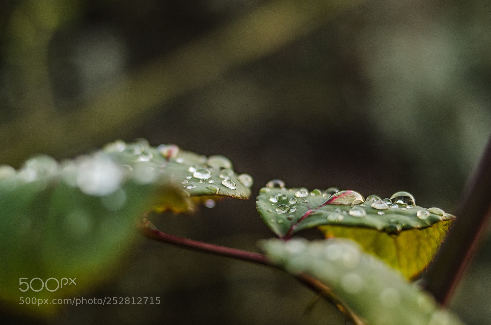 Nikon D7000 sample photo. Untitled photography