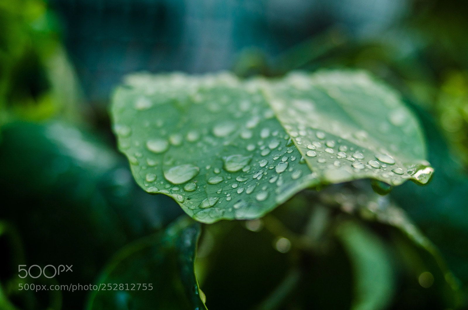 Nikon D7000 sample photo. Untitled photography
