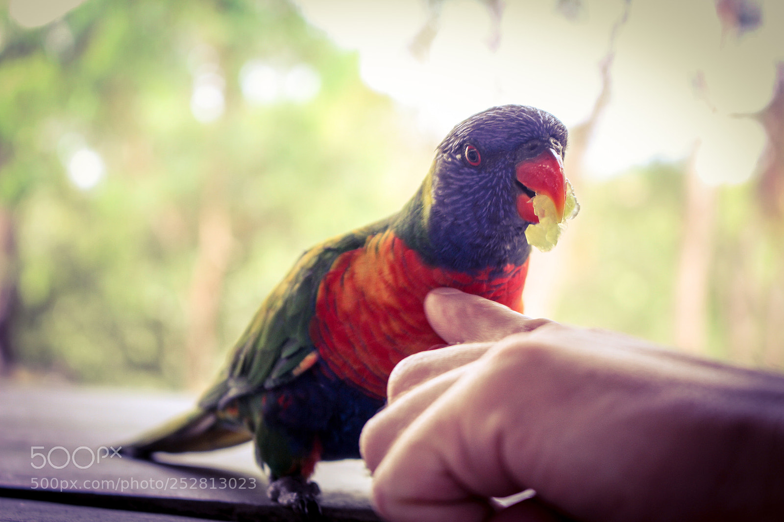Canon EOS 7D sample photo. Untitled photography