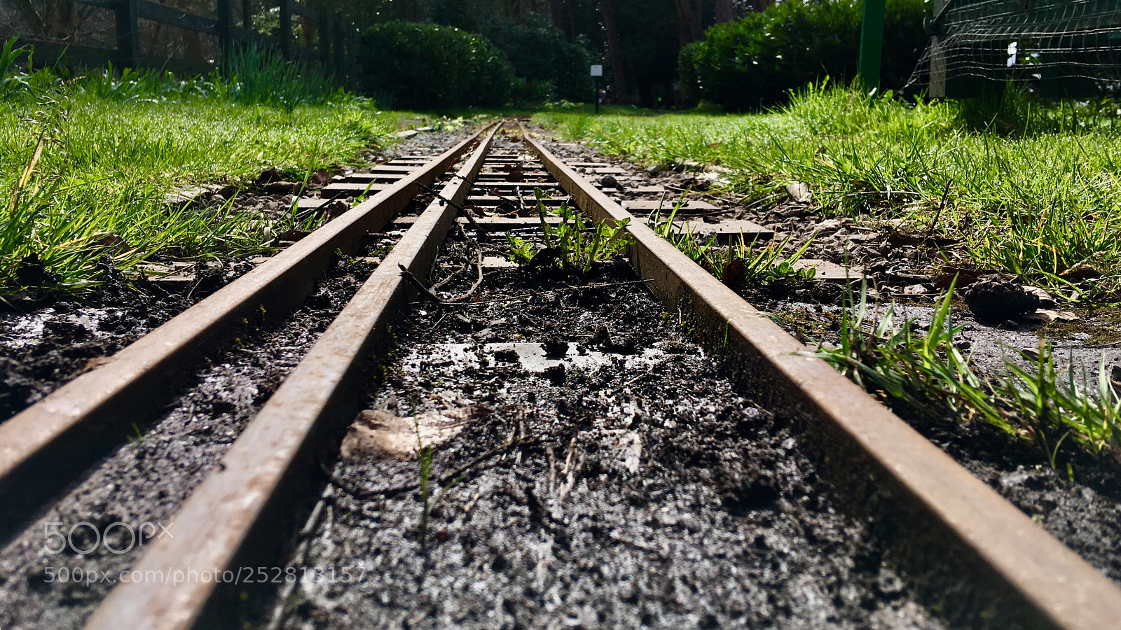 Apple iPhone SE sample photo. Tiny tracks photography