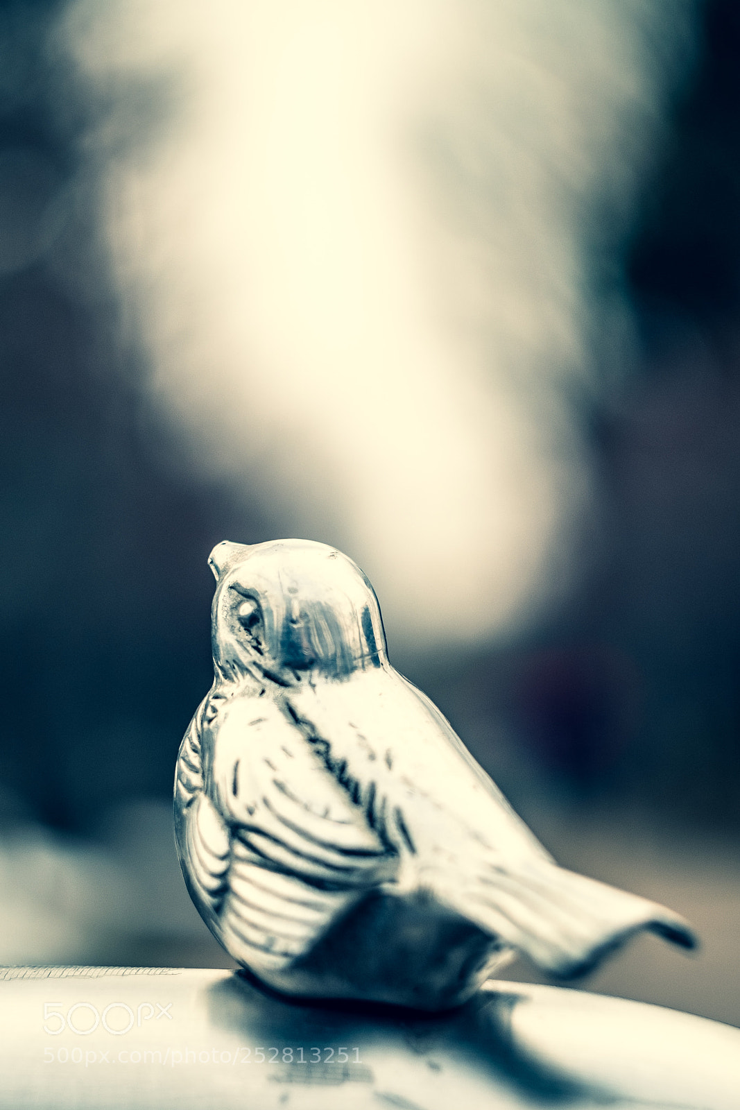 Fujifilm X-T1 sample photo. Silver bird photography