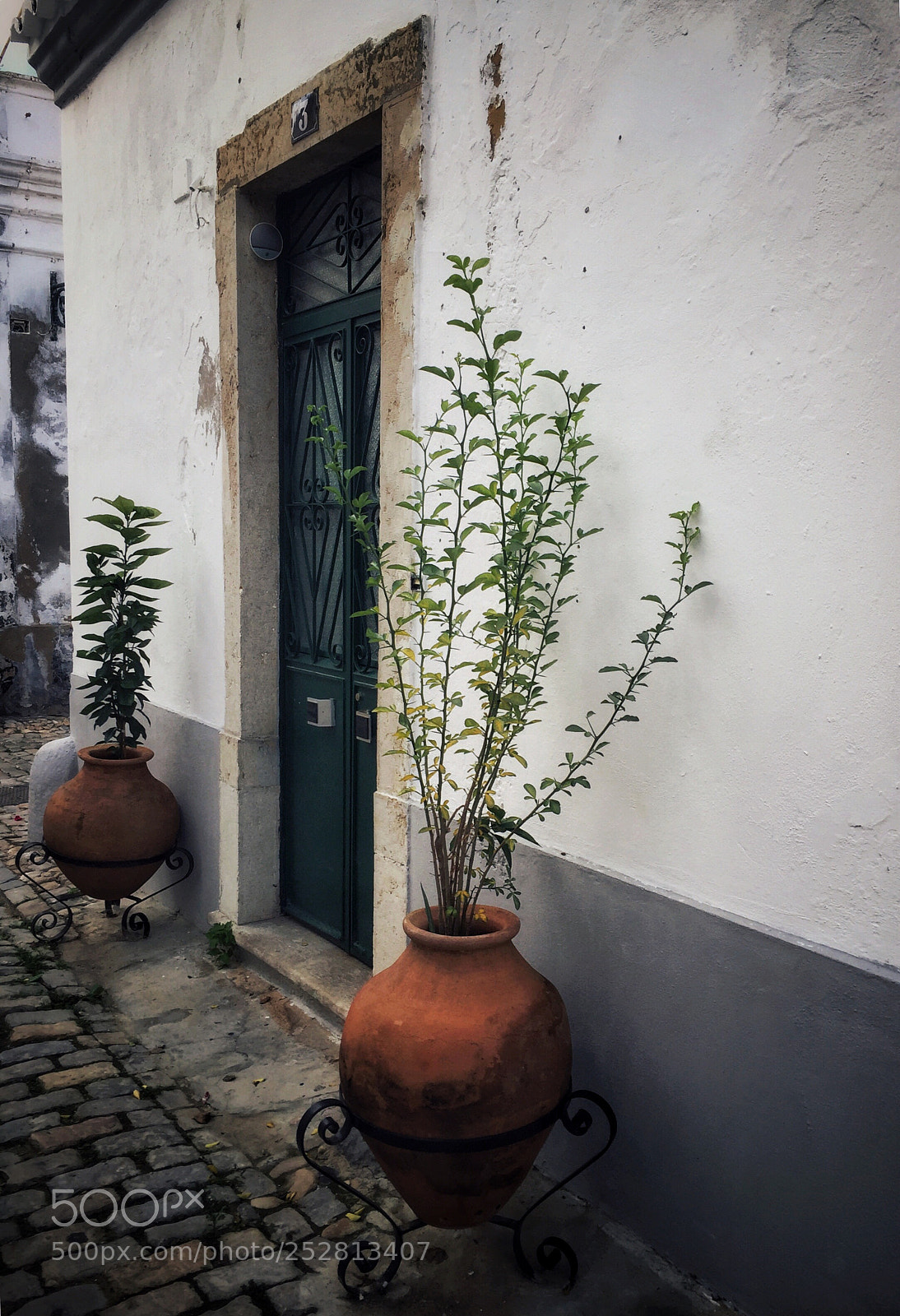 Apple iPhone 6 sample photo. Ria formosa photography