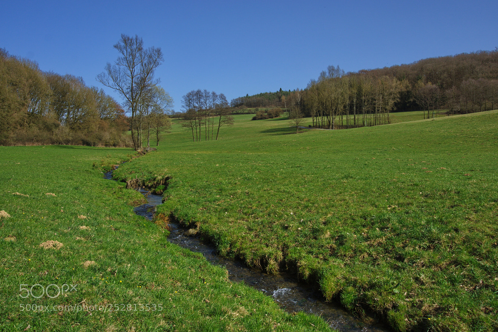 Sony a6000 sample photo. Creek in the meadow photography