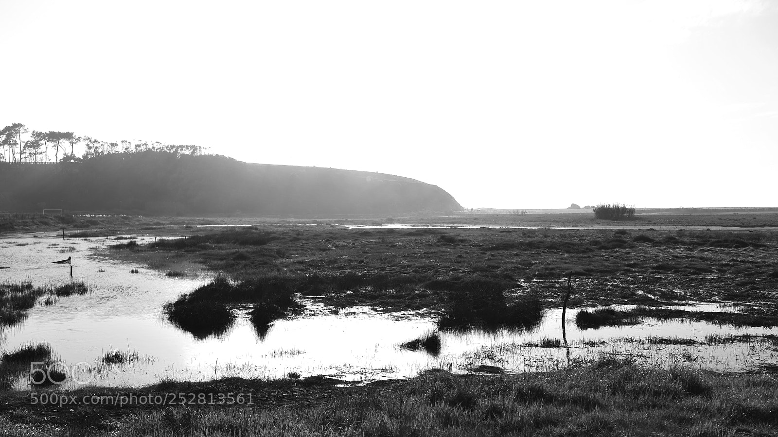 Nikon D610 sample photo. Cabedelo_portugal_2 photography