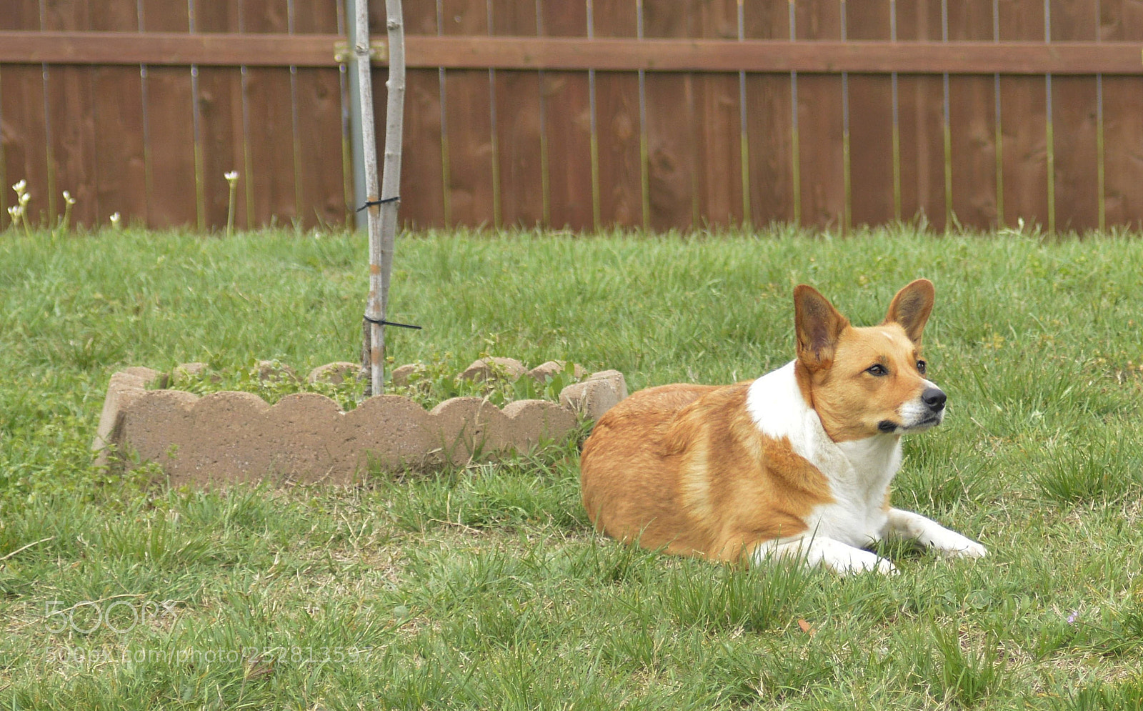 Nikon D3200 sample photo. Watching photography