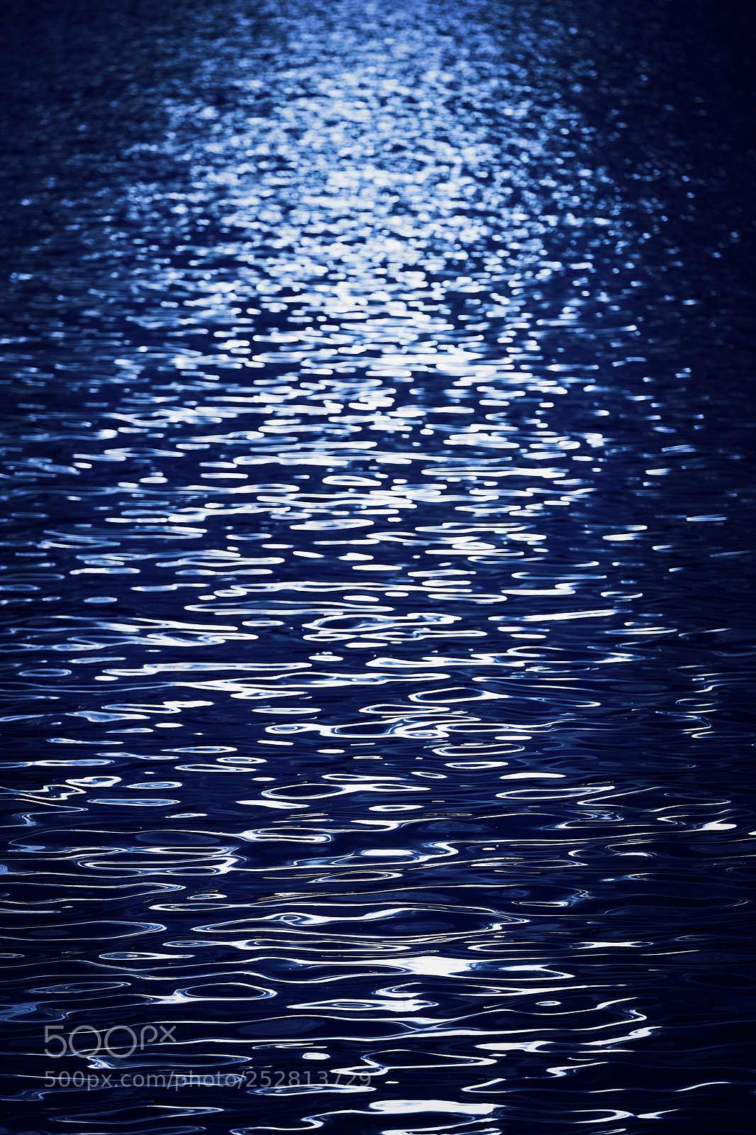 Nikon D5 sample photo. Light reflecttions on the photography
