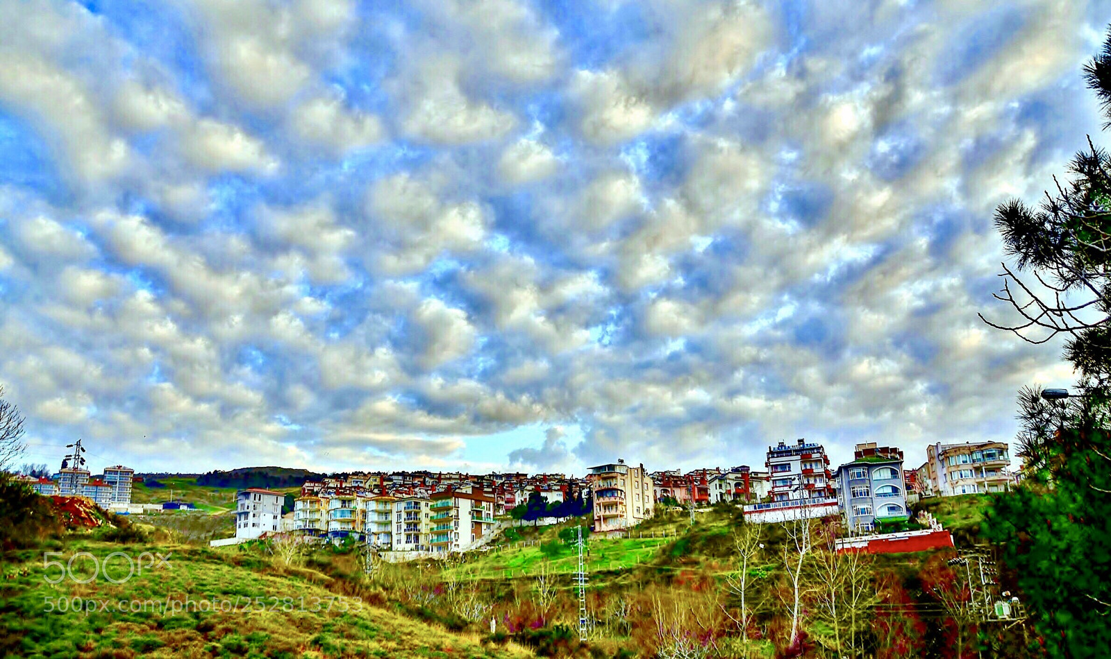 Nikon D7000 sample photo. Like a cotton photography