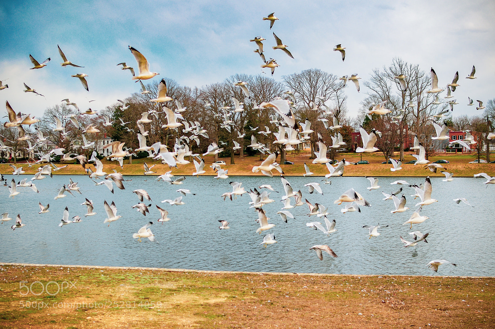 Nikon D90 sample photo. The flight photography
