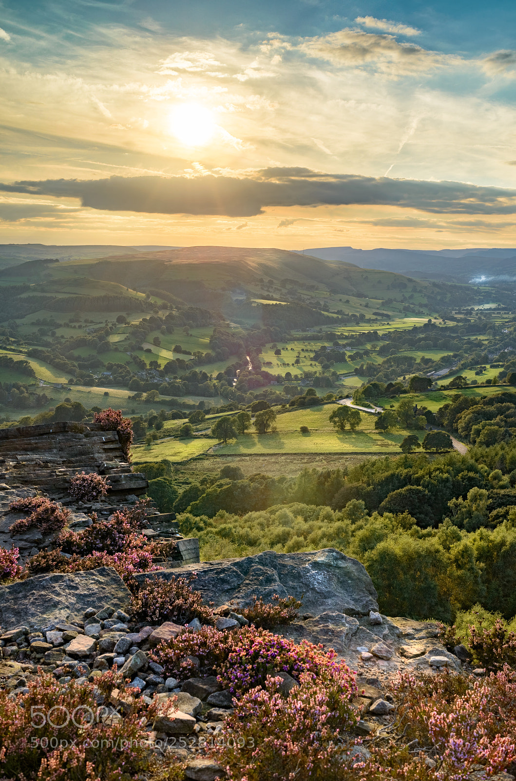 Nikon D800 sample photo. Surprise view photography