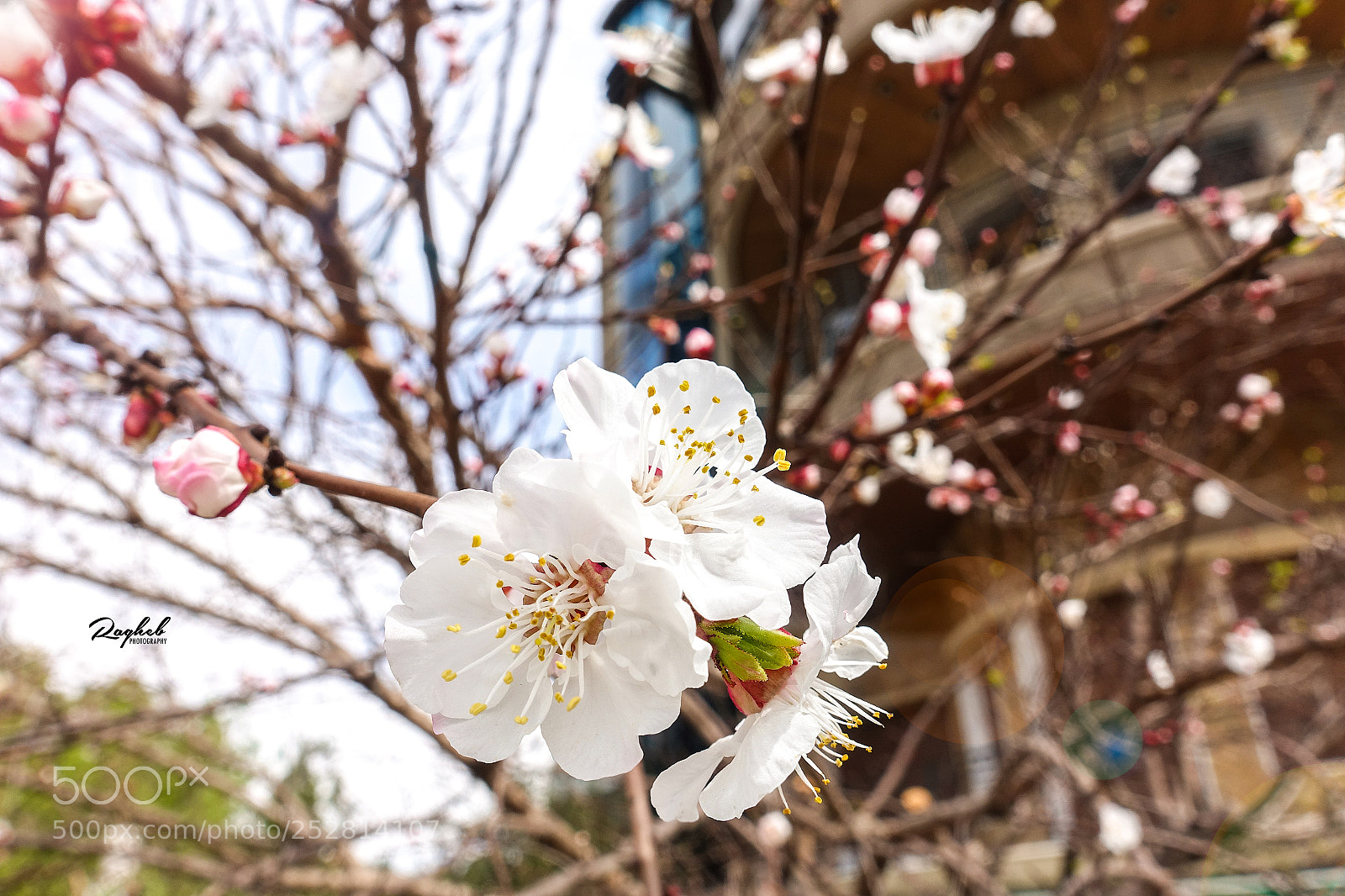 Sony DSC-RX100M5 sample photo. Travls photography