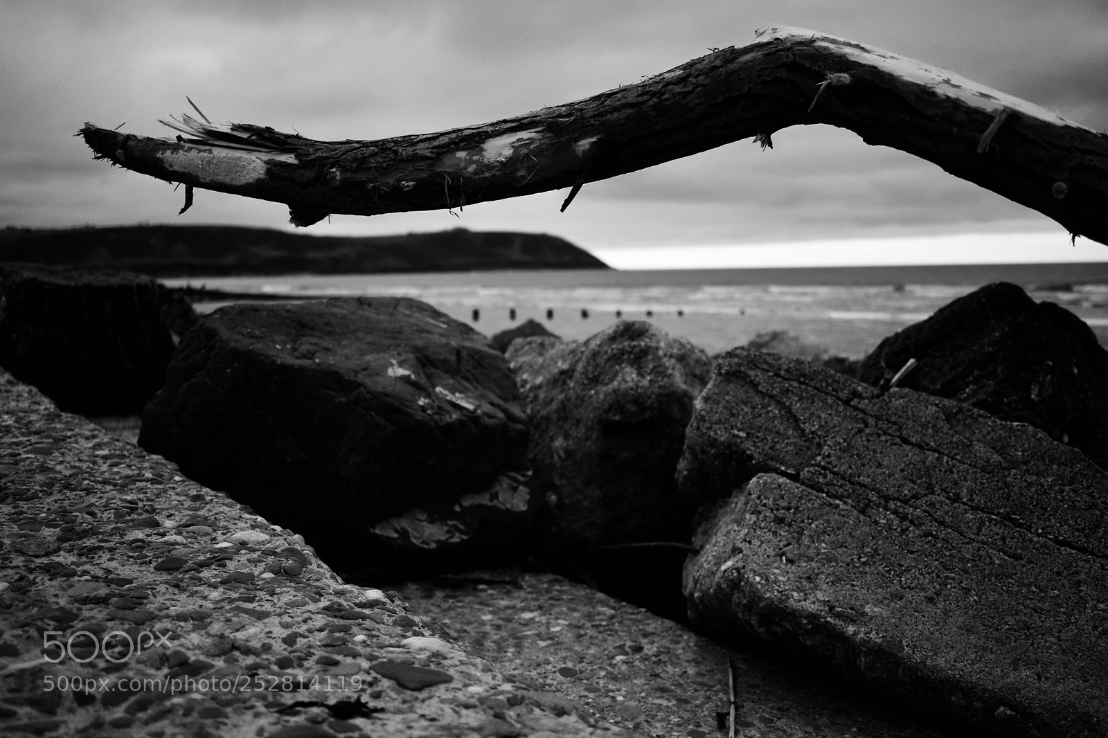Nikon D5300 sample photo. Driftwood photography