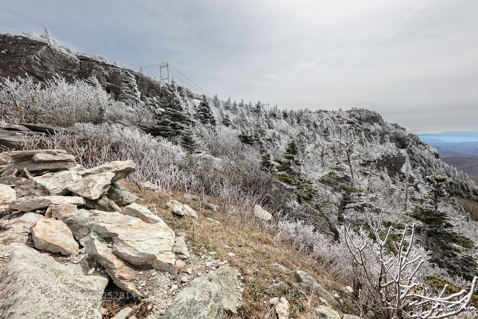 Canon EOS 5DS sample photo. Spring time on grand photography