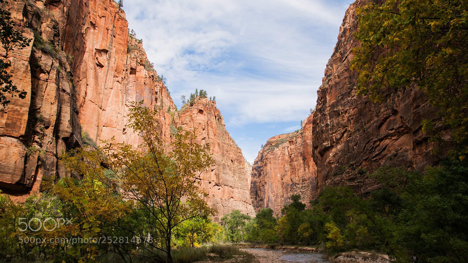 Sony Alpha DSLR-A230 sample photo. Zion park photography