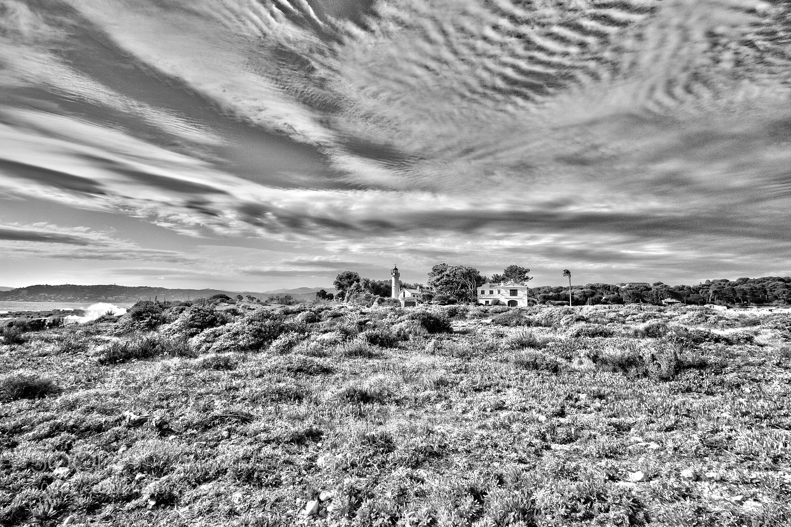 Canon EOS 70D sample photo. Black and white photography