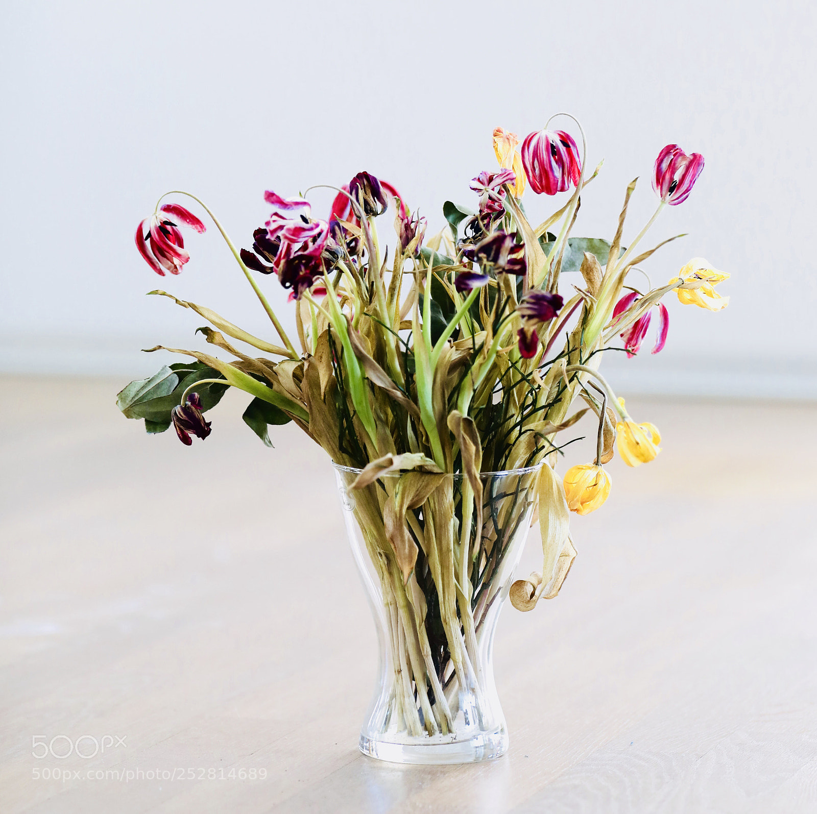 Canon EOS 5D Mark IV sample photo. Dying beaty photography