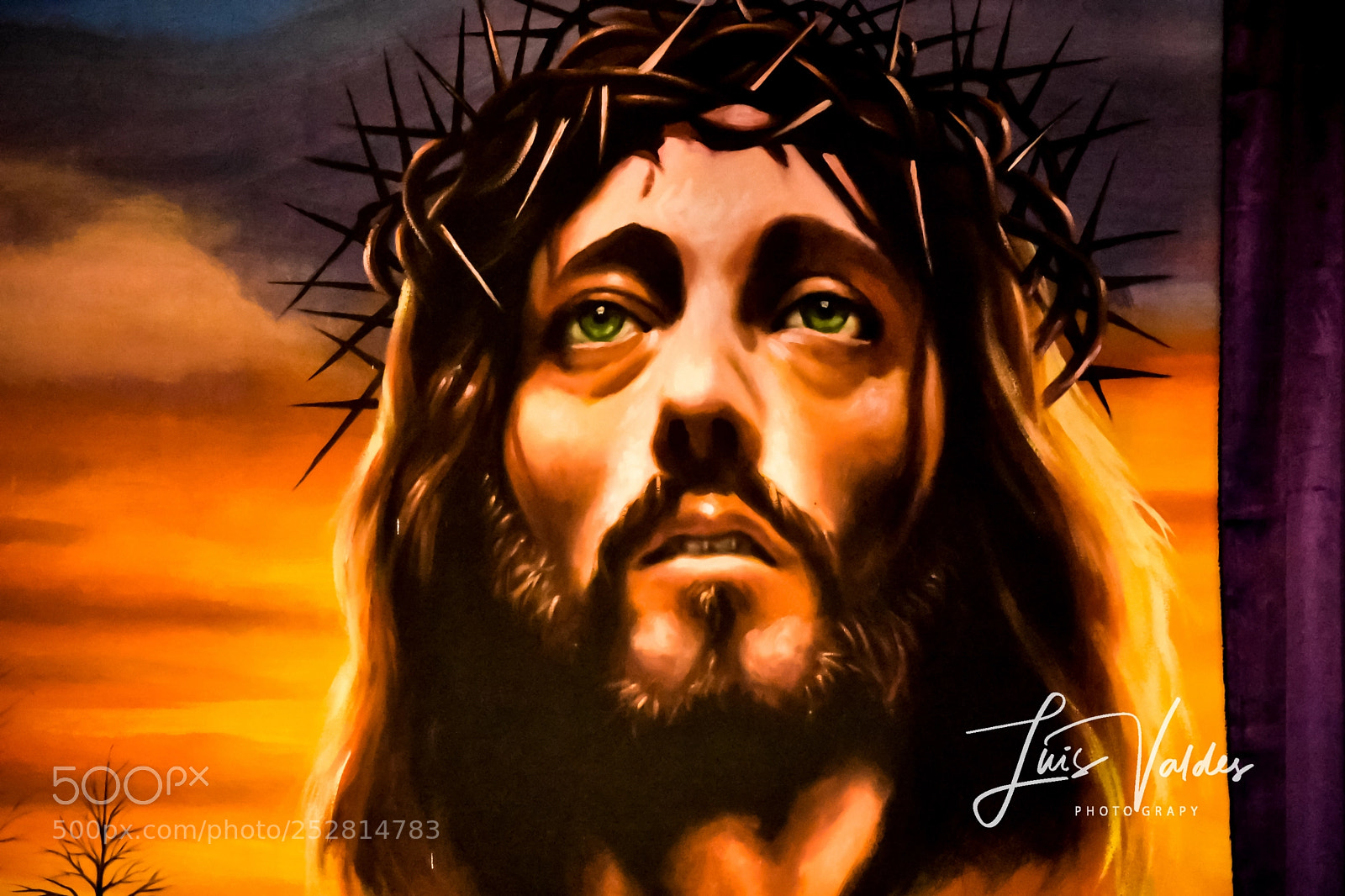 Nikon D7200 sample photo. God! photography