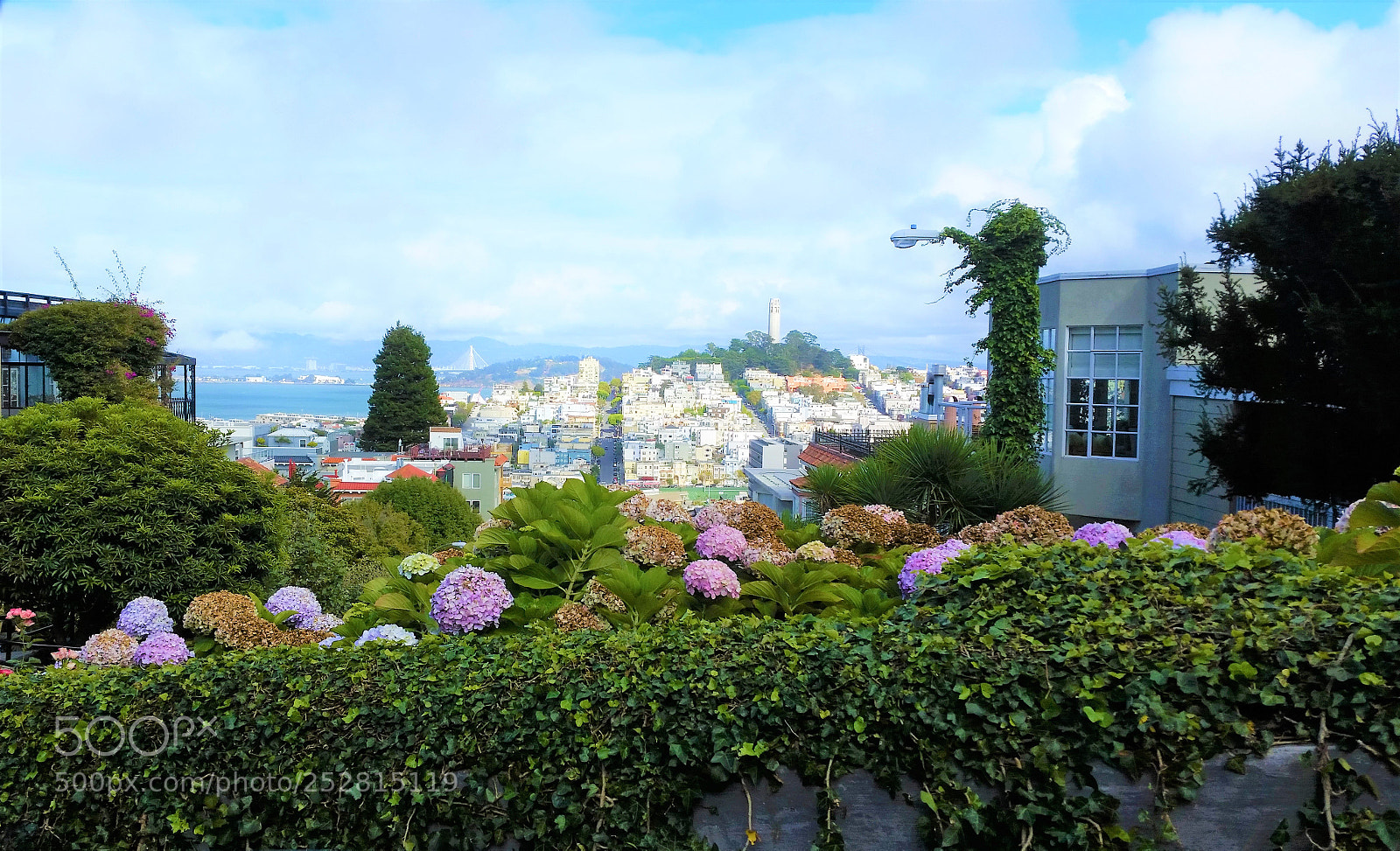 Samsung Galaxy S5 sample photo. Lombard street photography