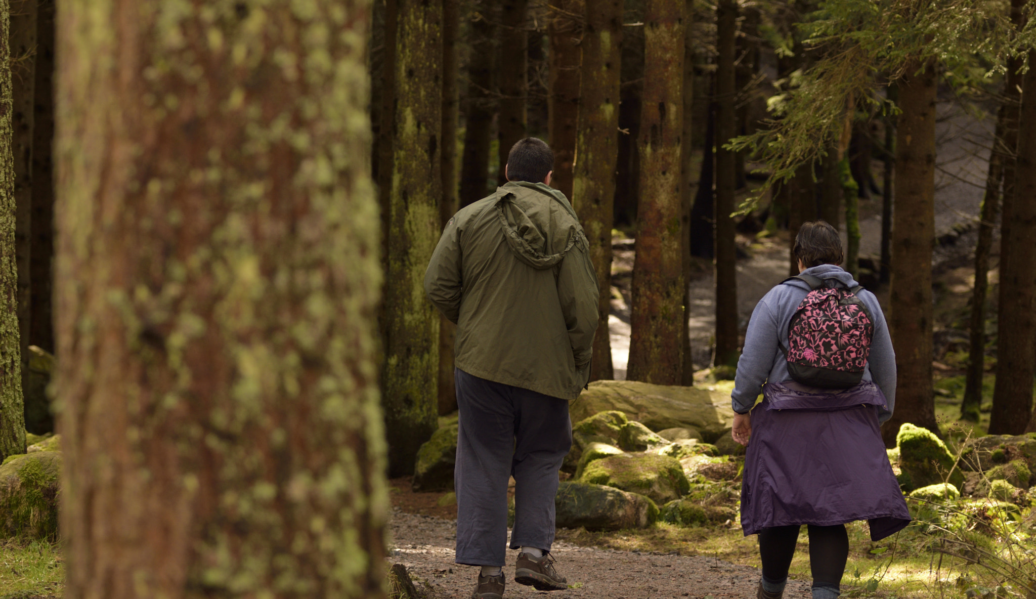 Sigma 105mm F2.8 EX DG OS HSM sample photo. Forest walk photography