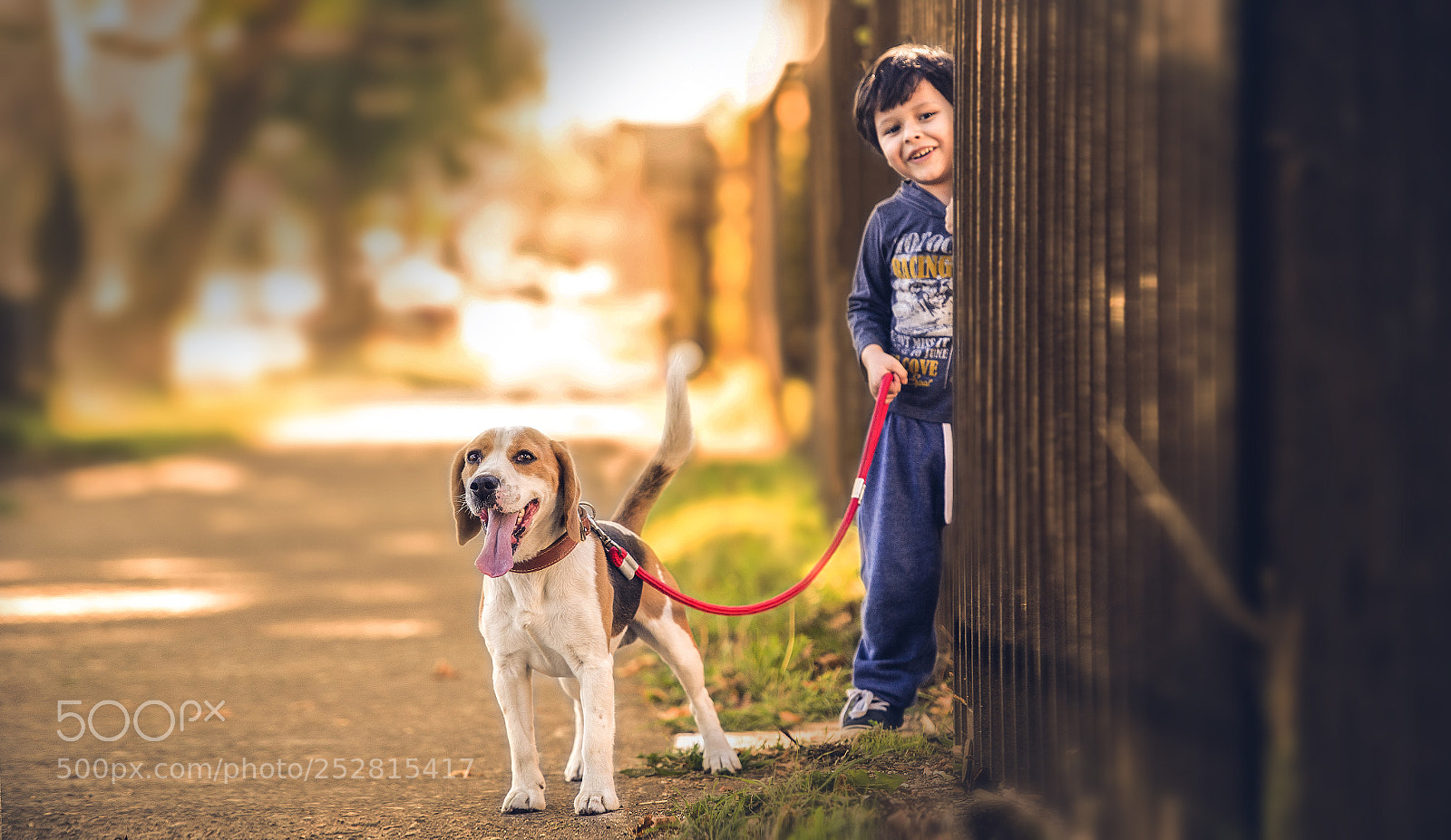 Nikon D3S sample photo. Cachorros photography