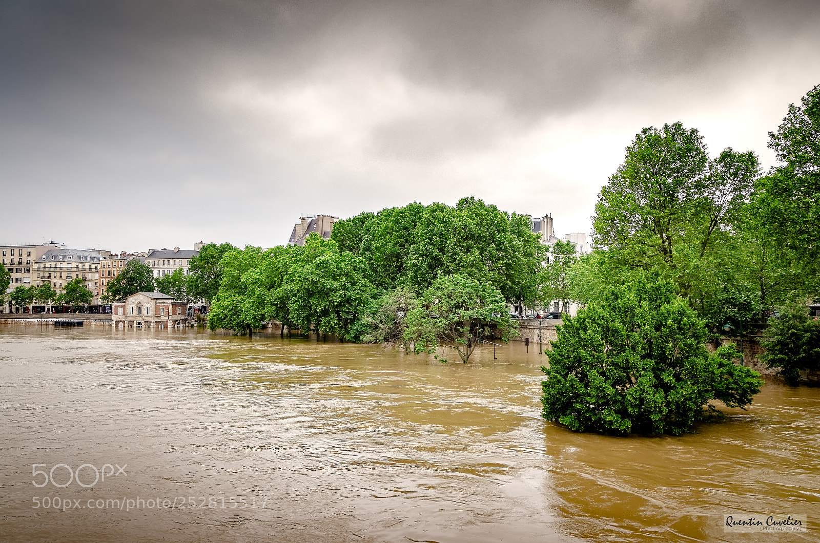Nikon D7000 sample photo. Crue de la seine photography