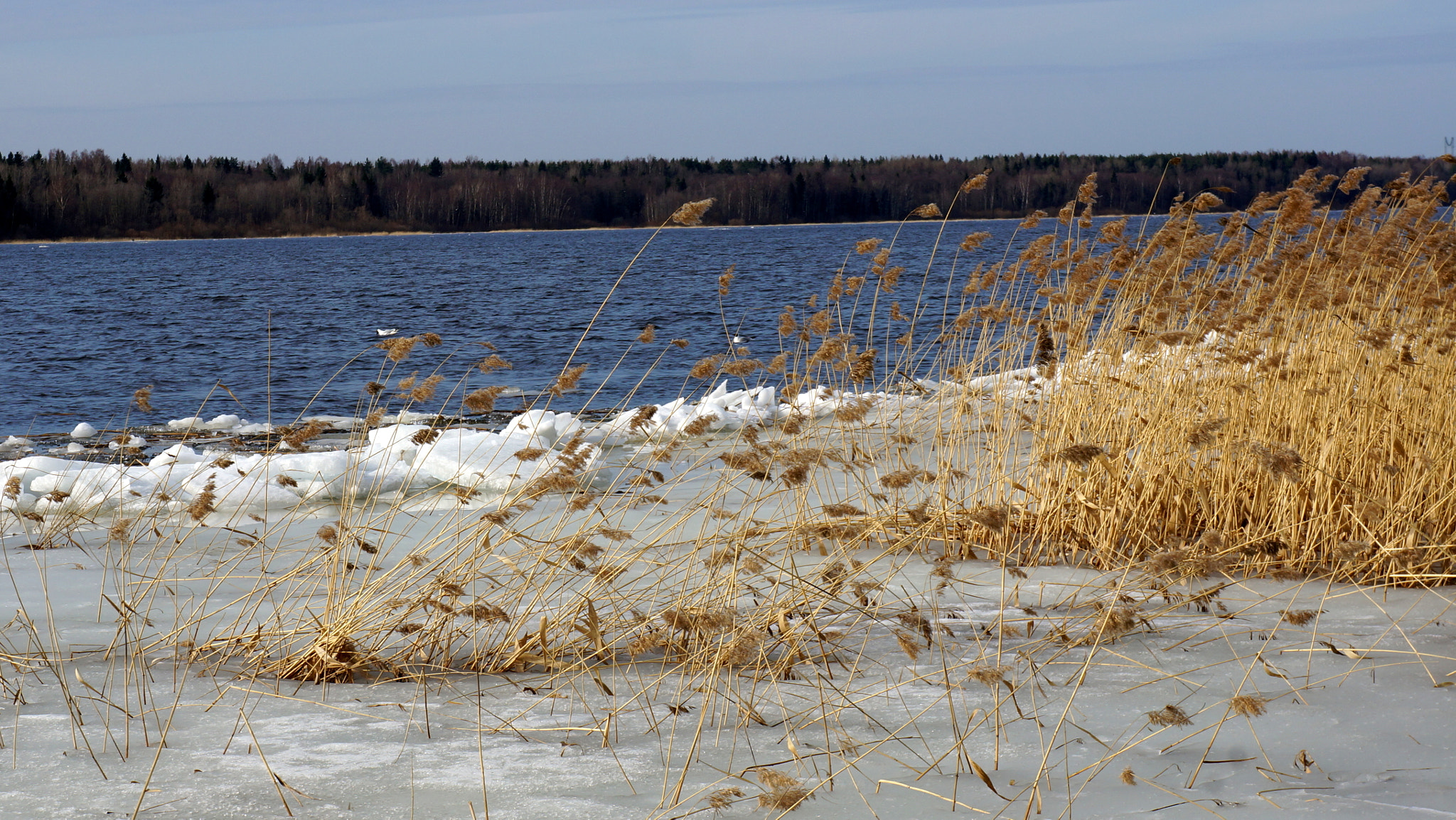 Sony Alpha NEX-5R sample photo. Река Нева освободилась от льда.. photography