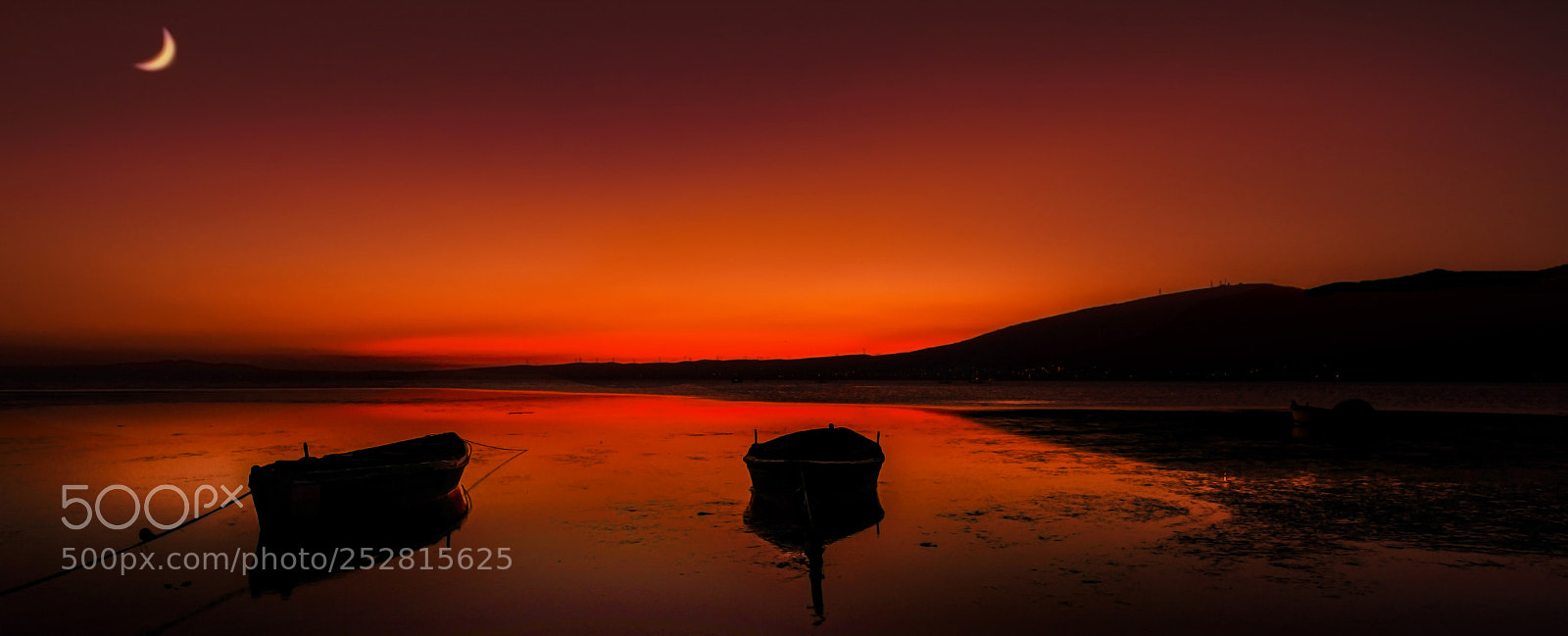 Nikon D810 sample photo. Red mood photography