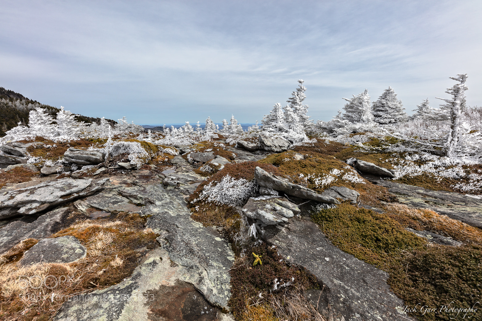 Canon EOS 5DS sample photo. Spring on top of photography