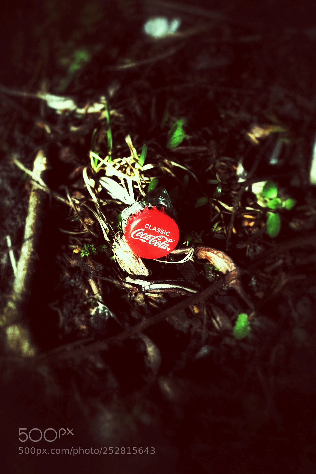 Canon EOS 7D sample photo. Top of a bottle photography
